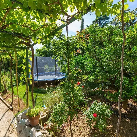 Hundefreundliches Nur 500 Meter Zum Mit Mediterraner Terrasse *